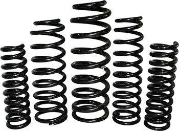 EFS Jeep Heavy Duty Front Coils